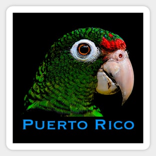 Puerto Rican Parrot Sticker